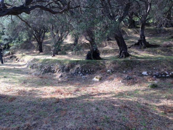Land In Corfu, Greece
