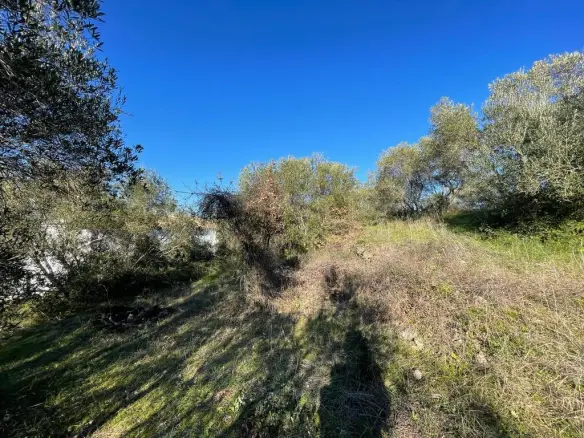 Land In Corfu, Greece