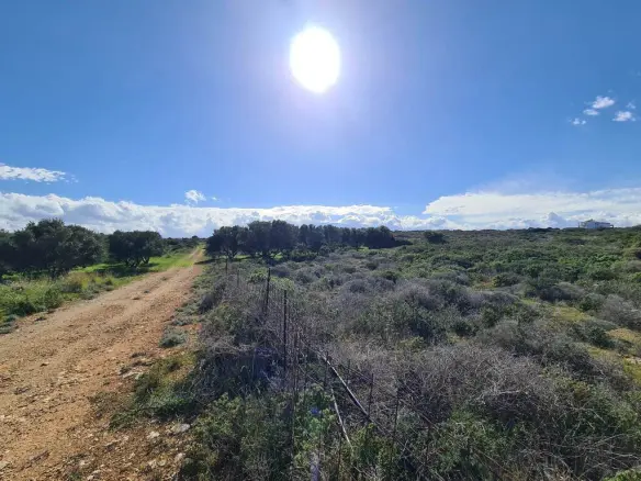Land In Akrotiri, Greece