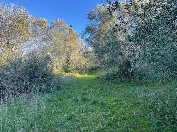 Land In Corfu, Greece