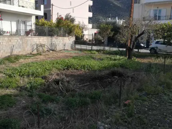 Land In Itea, Greece