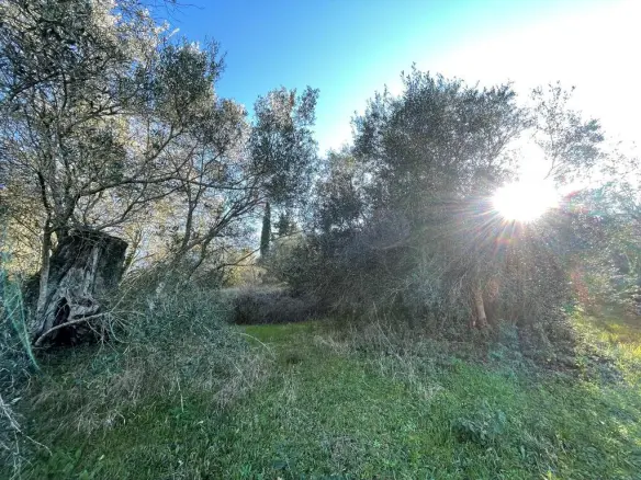 Land In Corfu, Greece
