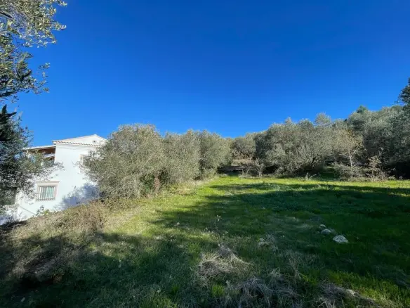 Land In Corfu, Greece