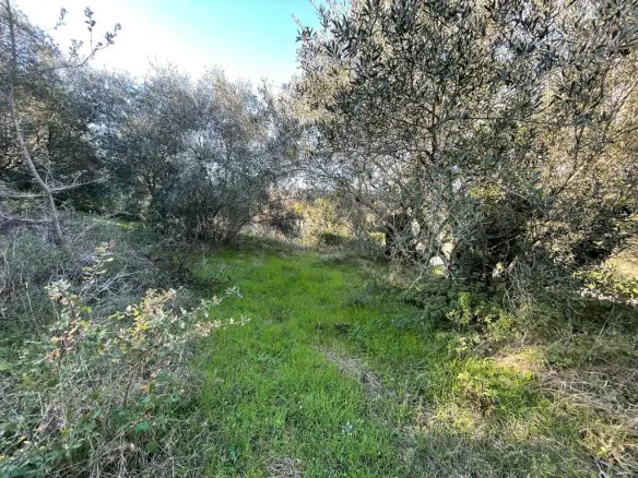 Land In Corfu, Greece