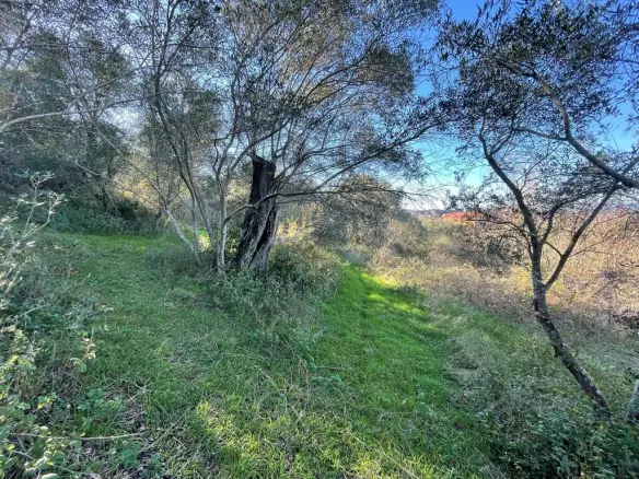 Land In Corfu, Greece