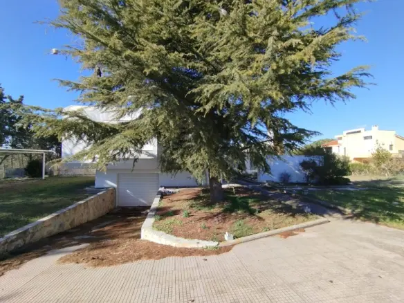 4-bedroom Villa In Thermaikos, Greece (610 M²)