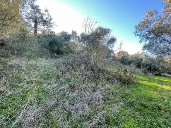 Land In Corfu, Greece