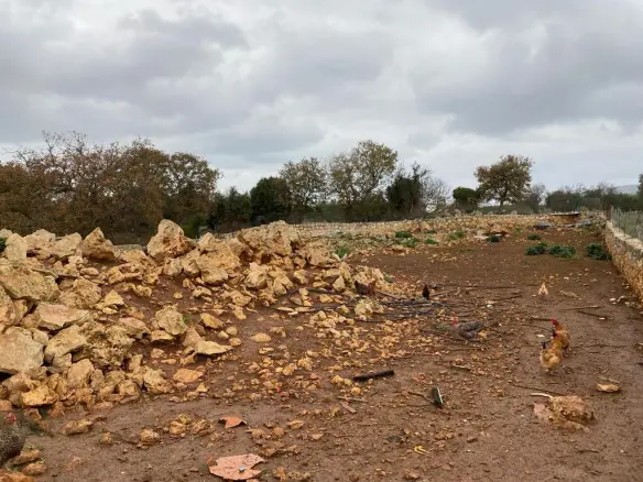 Land In Vamos, Greece