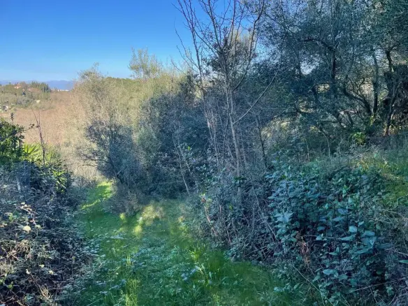 Land In Corfu, Greece