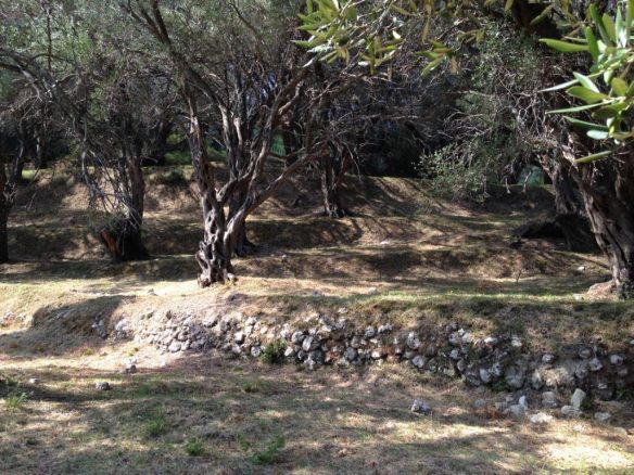 Land In Corfu, Greece