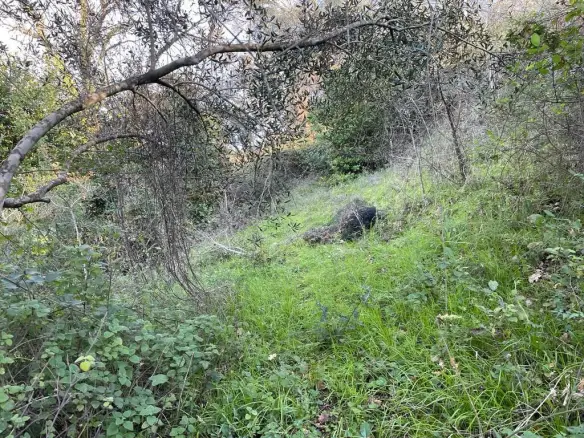 Land In Corfu, Greece