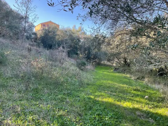 Land In Corfu, Greece