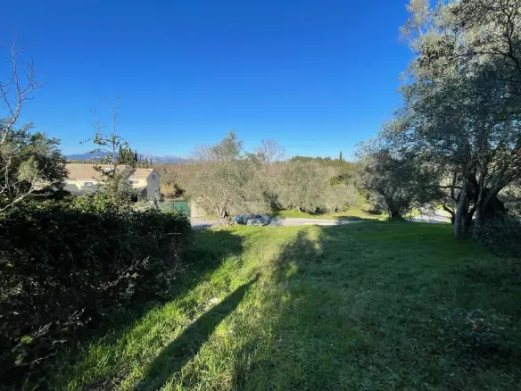 Land In Corfu, Greece