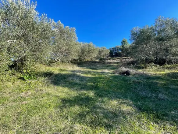 Land In Corfu, Greece