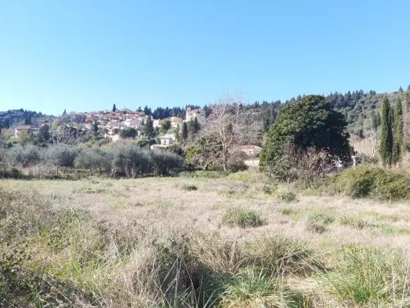 Land In Corfu, Greece