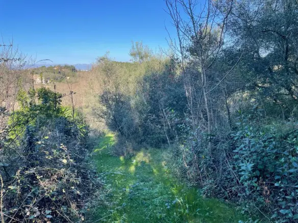 Land In Corfu, Greece