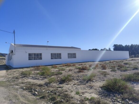 Commercial In Sax, Spain (594 M²)