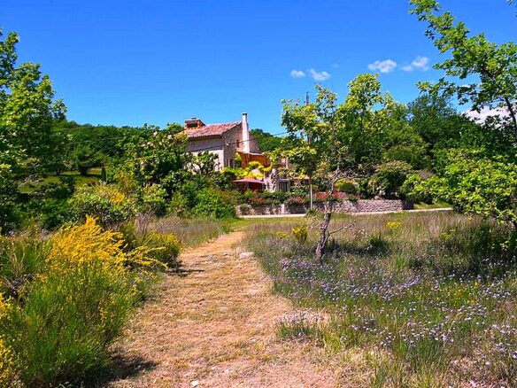 Mas Provençal D’exception Au Cœur Du Luberon