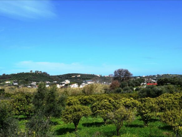 Land In Greece