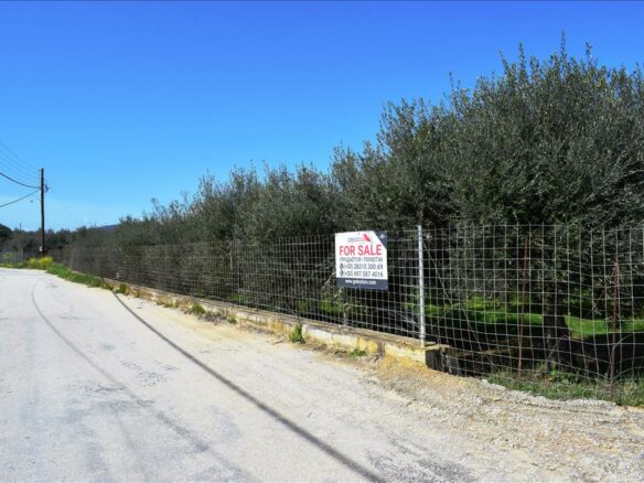 Land In Greece