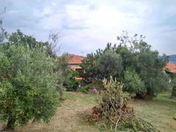 2-bedroom Detached House In Kassandra, Greece (75 M²)