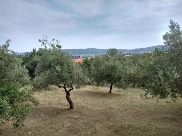 2-bedroom Detached House In Kassandra, Greece (75 M²)