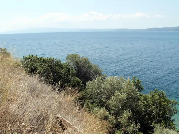 Land In Aristotle, Greece