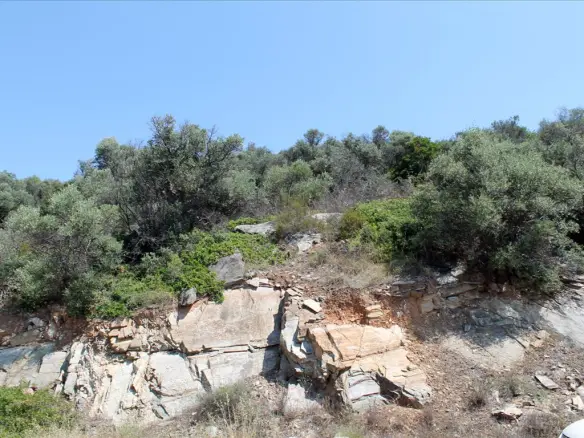 Land In Aristotle, Greece