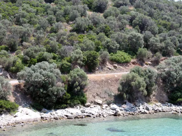 Land In Aristotle, Greece