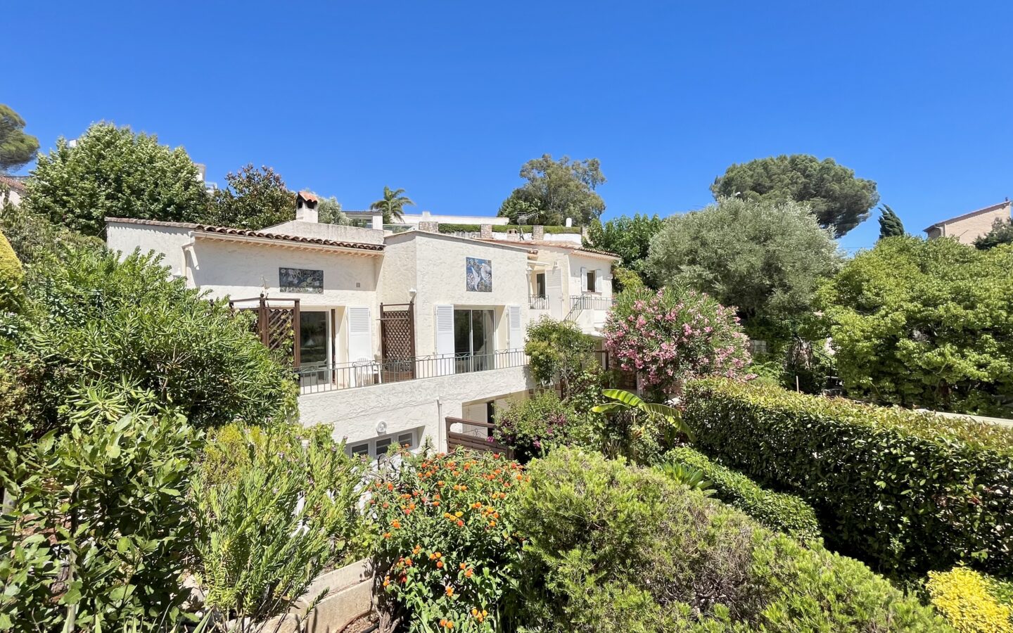 Villa In Cannes With Sea View