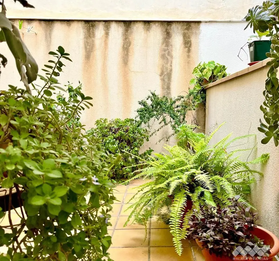 1-bedroom Flat In Málaga, Spain (60 M²)