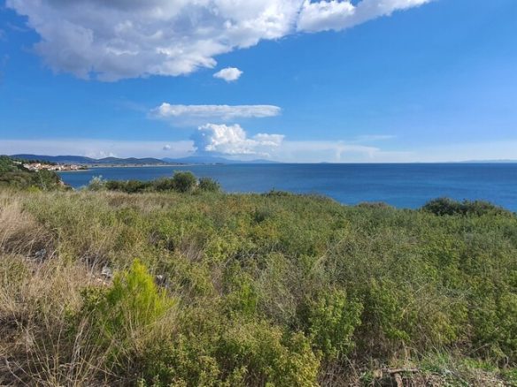 Land Opportunity 4913 M² In Sithonia Chalkidiki Region