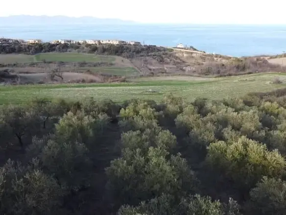 Land Parcel 5625 M² Located In Sithonia, Chalkidiki