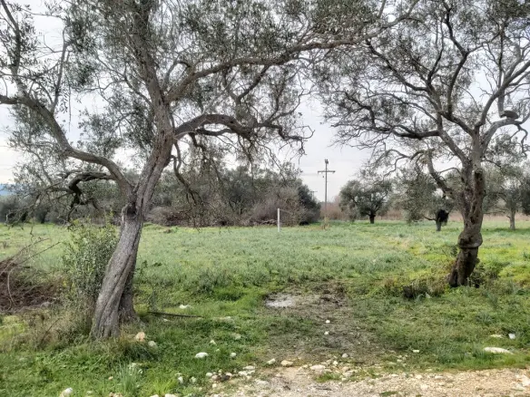Land Parcel 2078 M² Located In Corfu Island