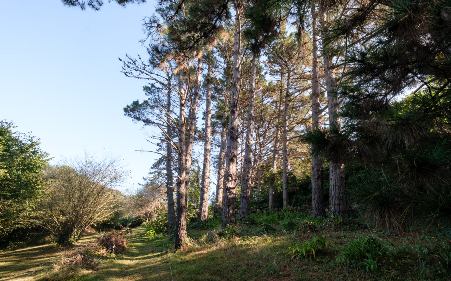Chalet With Plot Available In Somio