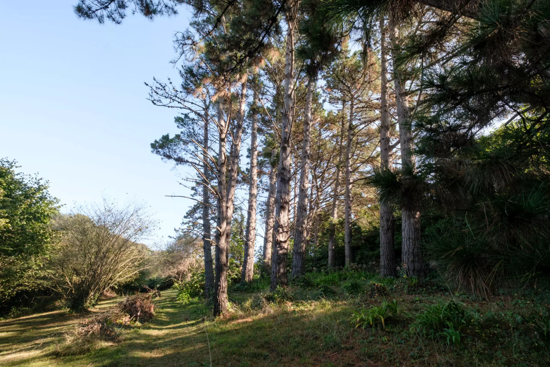 17102025_LAS_HAYAS_0011