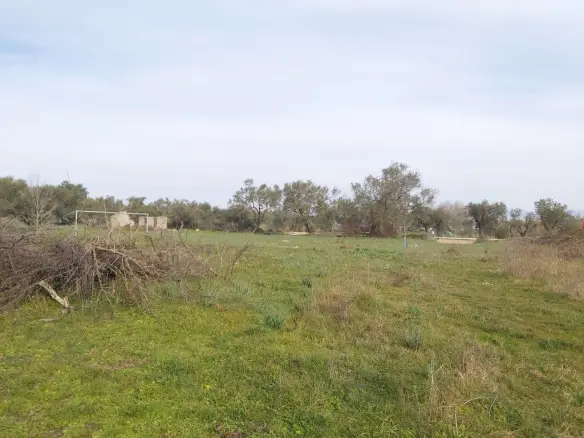 Land Parcel Of 2078 M² Available In Corfu Region