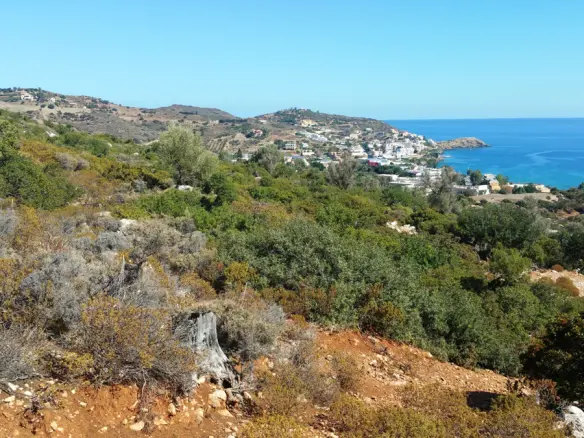 Land Plot 15000 M² Available In Crete Region