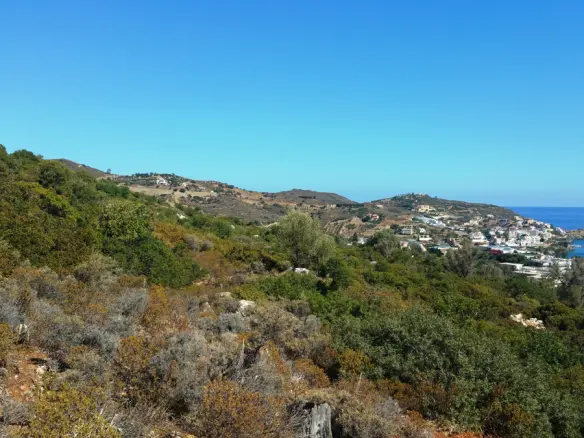 Land Plot 15000 M² Available In Crete Region