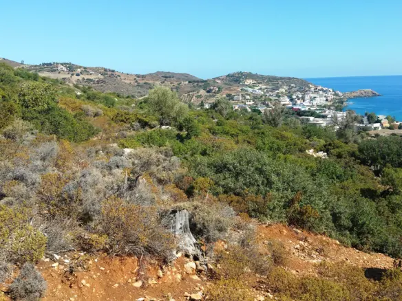Land Plot 15000 M² Available In Crete Region