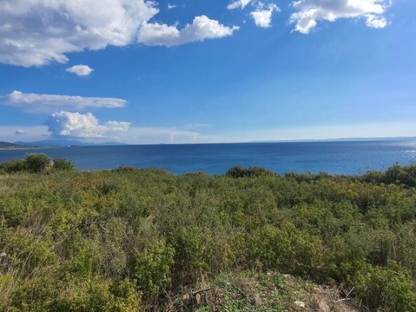 Land Opportunity 4913 M² In Sithonia Chalkidiki Region
