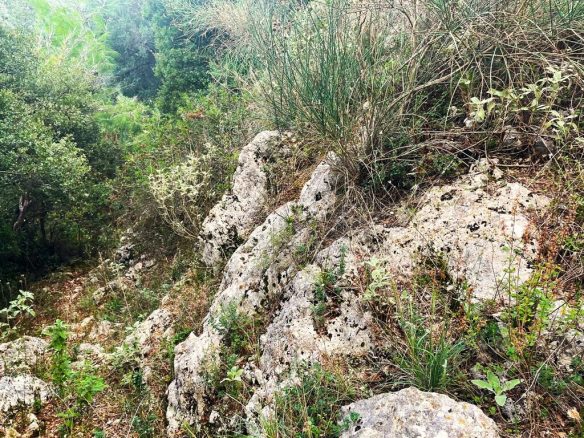 Land Parcel 1376 M² Available In Corfu Region