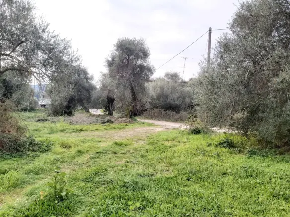 Plot Of Land 2307 M² Located In Corfu Region