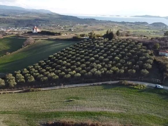 Land Parcel 5625 M² Located In Sithonia, Chalkidiki