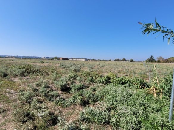 Land Plot 9000 M² Available In Thessaloniki Suburbs