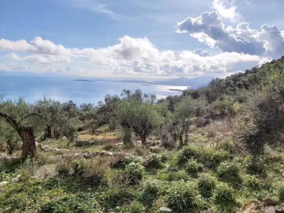 Plot Of 9500 M² With Coastal Access In Corfu