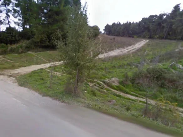 Land Plot Of 6625 M² Available In Kassandra, Chalkidiki