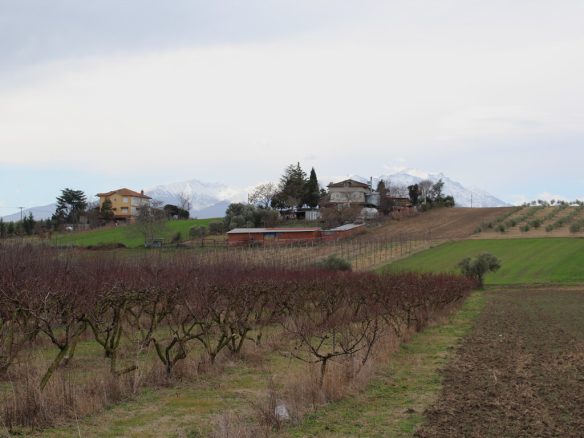 Land Plot 4000 M² Available On The Olympic Coast