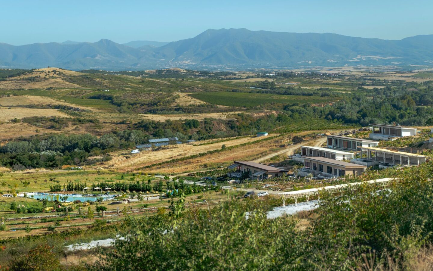 Vineyard Properties Featuring Multiple Bedrooms In Scenic Region