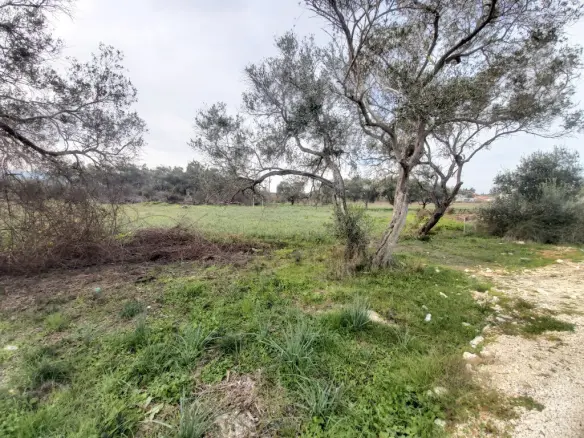 Land Parcel 2078 M² Located In Corfu Island